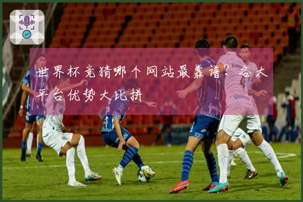 世界杯竞猜哪个网站最靠谱？各大平台优势大比拼