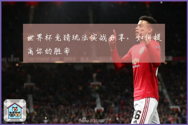 世界杯竞猜玩法实战分享，如何提高你的胜率