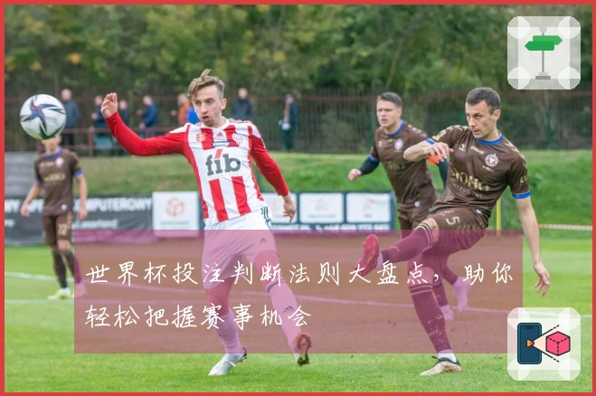 世界杯投注判断法则大盘点，助你轻松把握赛事机会